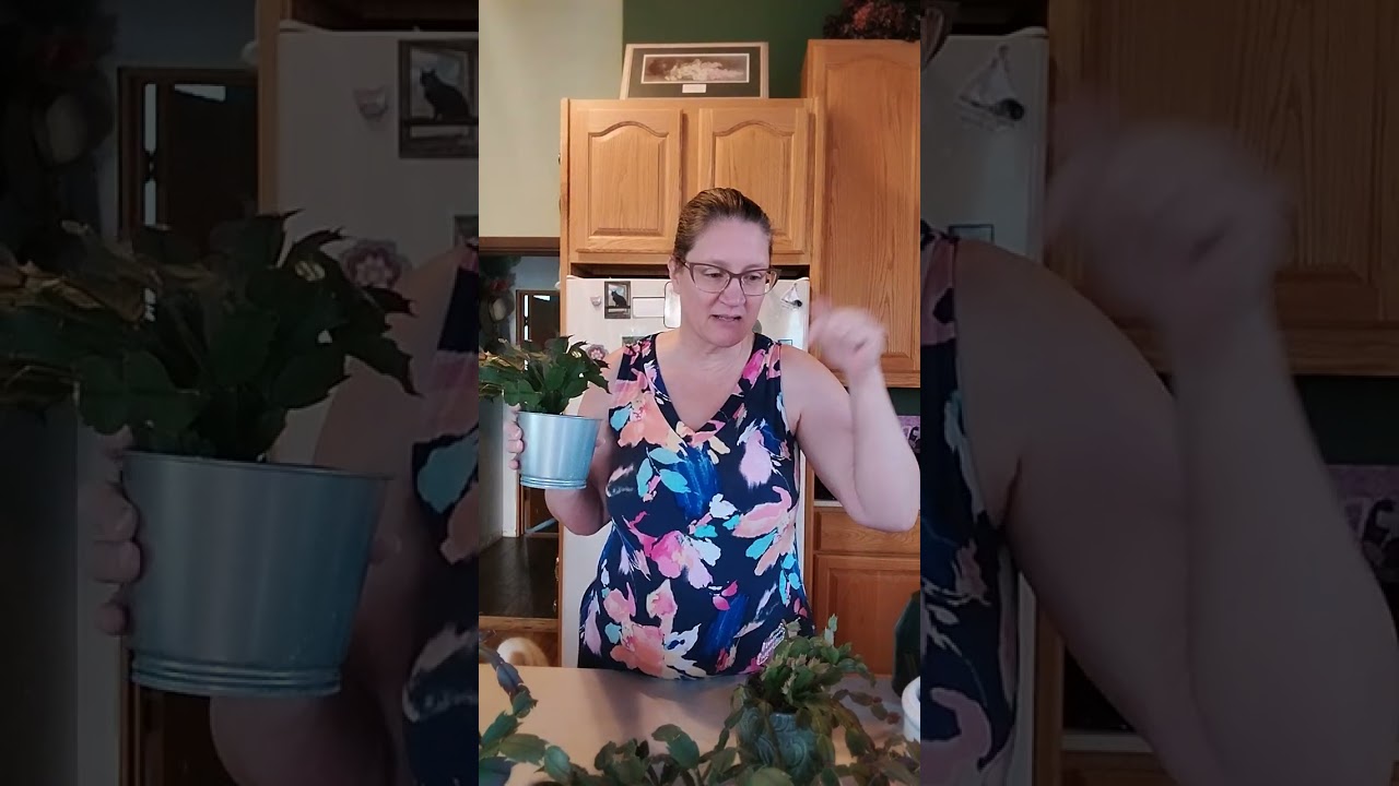 #goodmorningfromthegarden