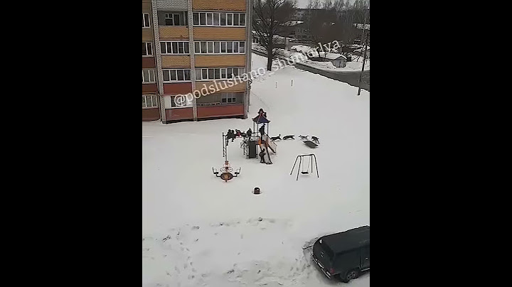 Стая собак загнала семерых детей на горку в Шумерле