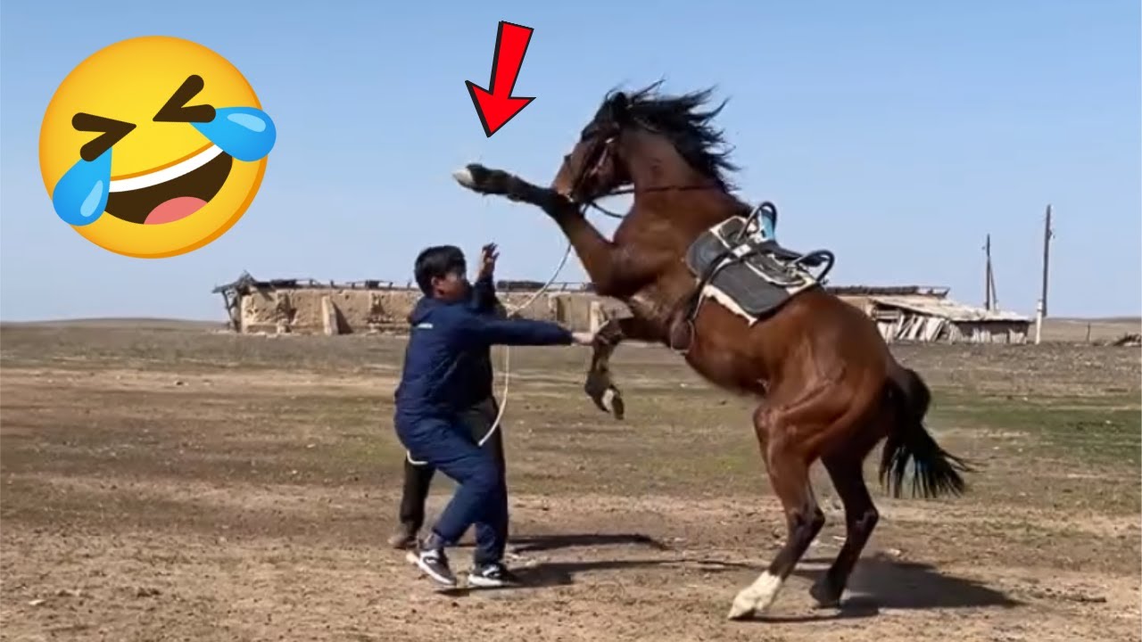 TRY NOT TO LAUGH 😂😁 TOP 100 FUNNIEST VIDEOS EVER - FAILS, PRANKS & MEMES #9