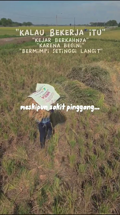 Tetap Berjuang Mencari Uang Meskipun Sakit Pinggang