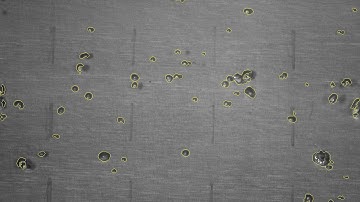 MATLAB Bubble Detection - Sample Video 2