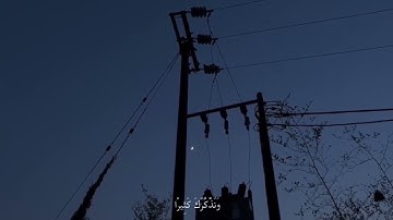 كي نسبحك كثيرا ونذكرك كثيرا سورة طه القارئ شريف مصطفى 