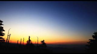 Bvdub - I Would Have Waited