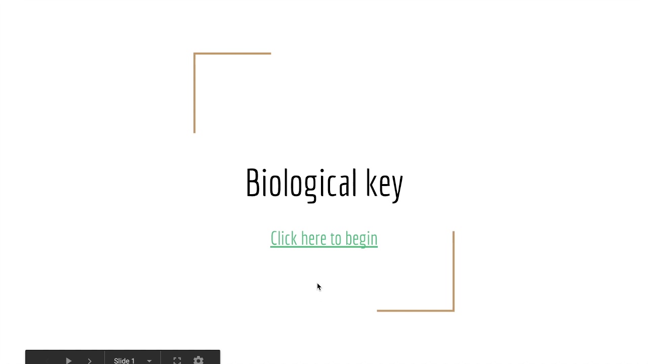 4/17 Biological Key Tutorial Video YouTube