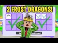 I trade for 2 frost dragons in rich adopt me server *CLIP*