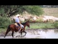 Mundial Charolais MEXICO 2016