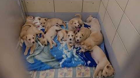 604382844 26012060161710777 3481816982554409122 n