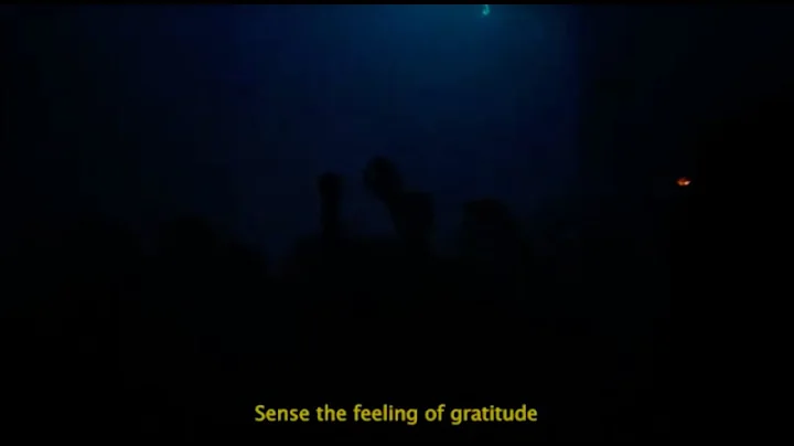 DJ Gigola  Gratitude Practice (Video Edit) [LFE014]