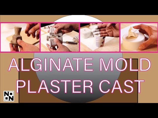 Alginate 3D Molding Hand Gypsum Sculpture Powder And Rigips DIY