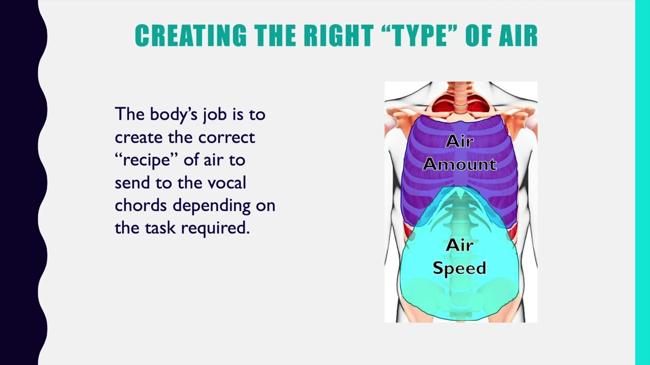 Correct Breath-Support in Singing: Creating Air Pressure & Speed; Using the Pelvic Floor vid 2 of 2