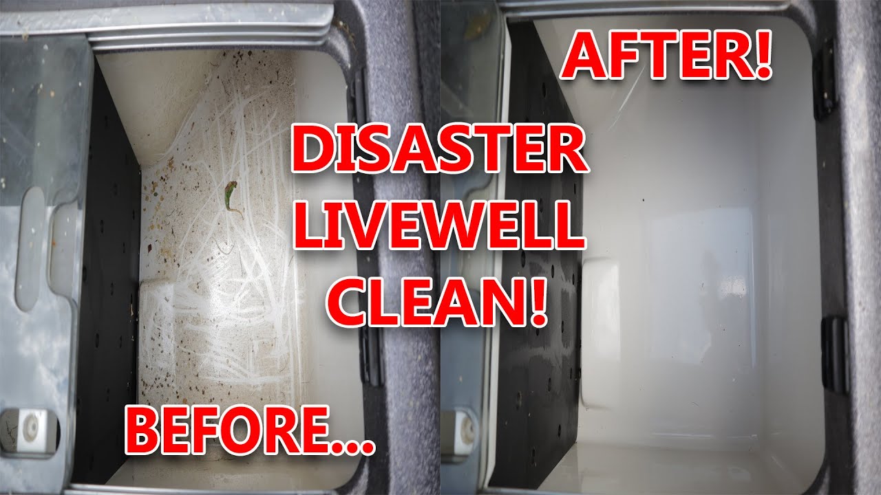 How to CLEAN LIVEWELLS on a BASS BOAT! Complete DISASTER CLEAN