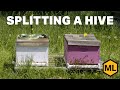 How to split a hive