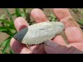 Hunting arrowheads in central Indiana A stellar Hunt.