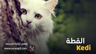 قصة باللغة التركية مترجمة ( القطة - Kedi hikayesi )-تعلم اللغة التركية