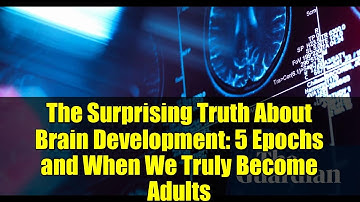 The Surprising Truth About Brain Development: 5 Epochs and When We Truly Become Adults
