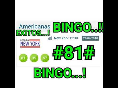 MÁS BINGO HOY...!! #81# LOTERÍA NEW YORK TARDE...!! SEGUIMOS GANANDO...!! camera iphone 8 plus apk