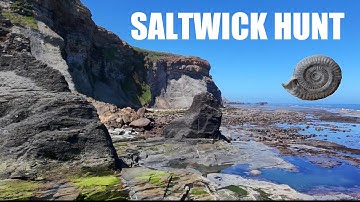 Ammonites - Saltwick hunt...