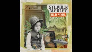 Stephen Marley - Thanks We Get (Do Fi Dem)