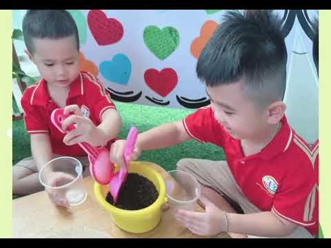 HĐTN Gieo hạt mầm nhỏ cùng các bạn lớp MGL A5