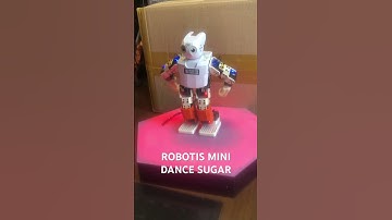ROBOTIS MINI DANCE SUGAR