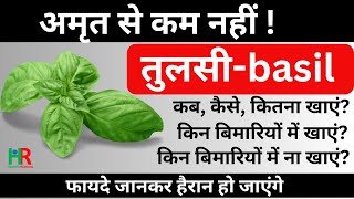 तुलसी के फायदे और नुकसान || तुलसी कब, कैसे खाएं || एक दिन में कितना तुलसी खाएं || तुलसी के पत्ते ||