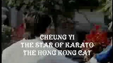 10 Magnificent Killers