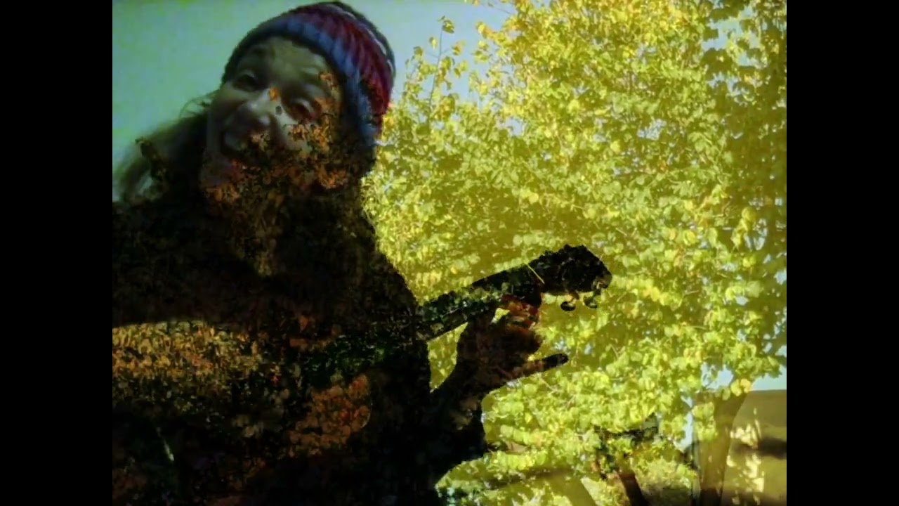 Woke the cat up by swear singing - Silly songs - Freestyle Original By Violet Pacey Baritone Ukulele adlı videoyu YouTube'da izle Woke the cat up by swear singing - Silly songs - Freestyle Original By Violet Pacey Baritone Ukulele adlı videoyu YouTube'da izle