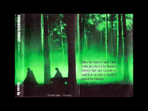 Forbidden Forest — Forbidden forest - B3