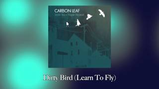Watch Carbon Leaf Learn To Fly video