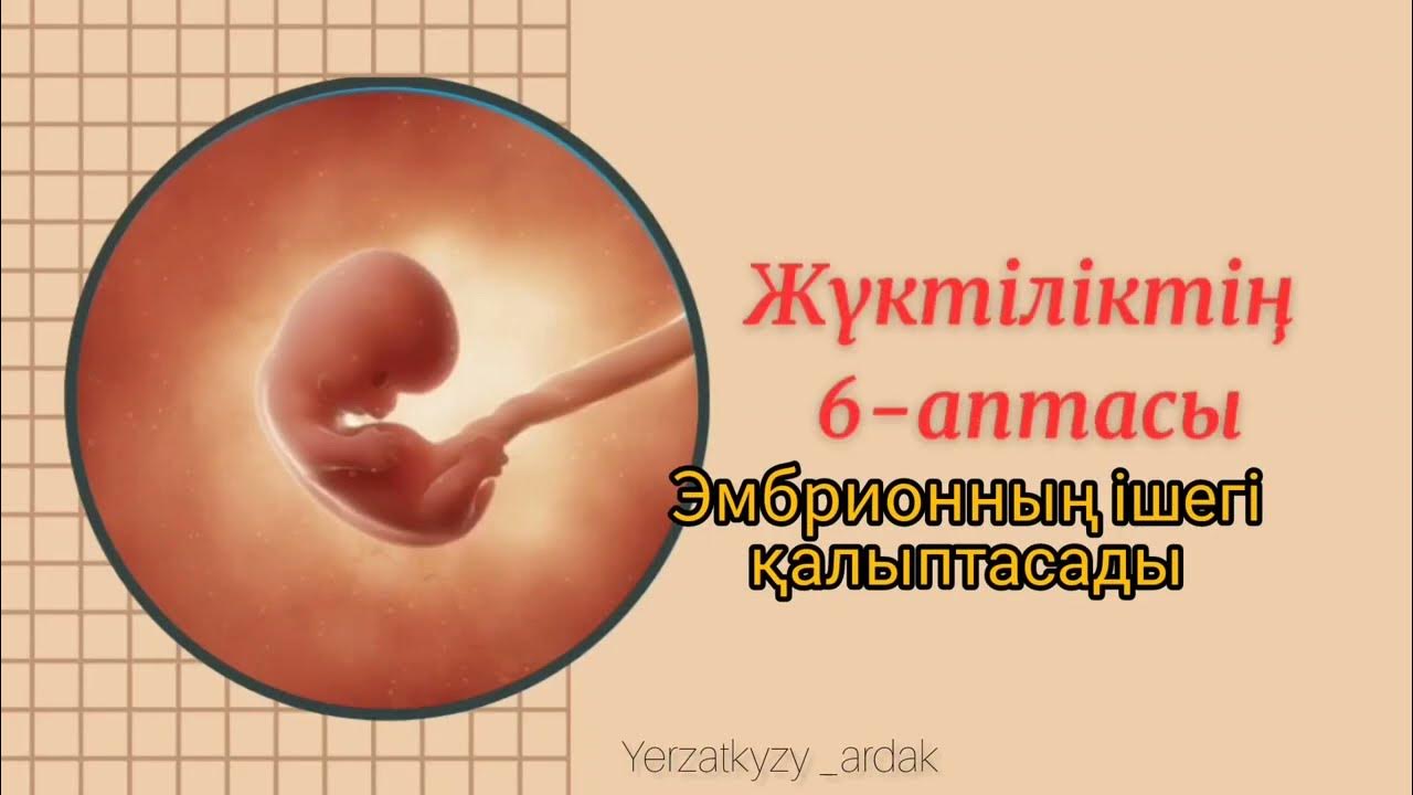 Қазантип секс кеші