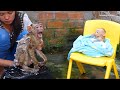 Super Cute Newborn Baby Moly Talking Very Sweet To Dodo Wait Mom Bath
