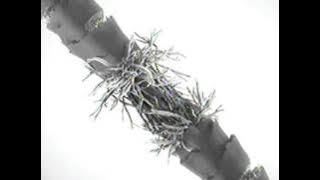 Download lagu Pantene Shampoo Kurangi Rambut Rontok feat Rossa - Iklan Komersial