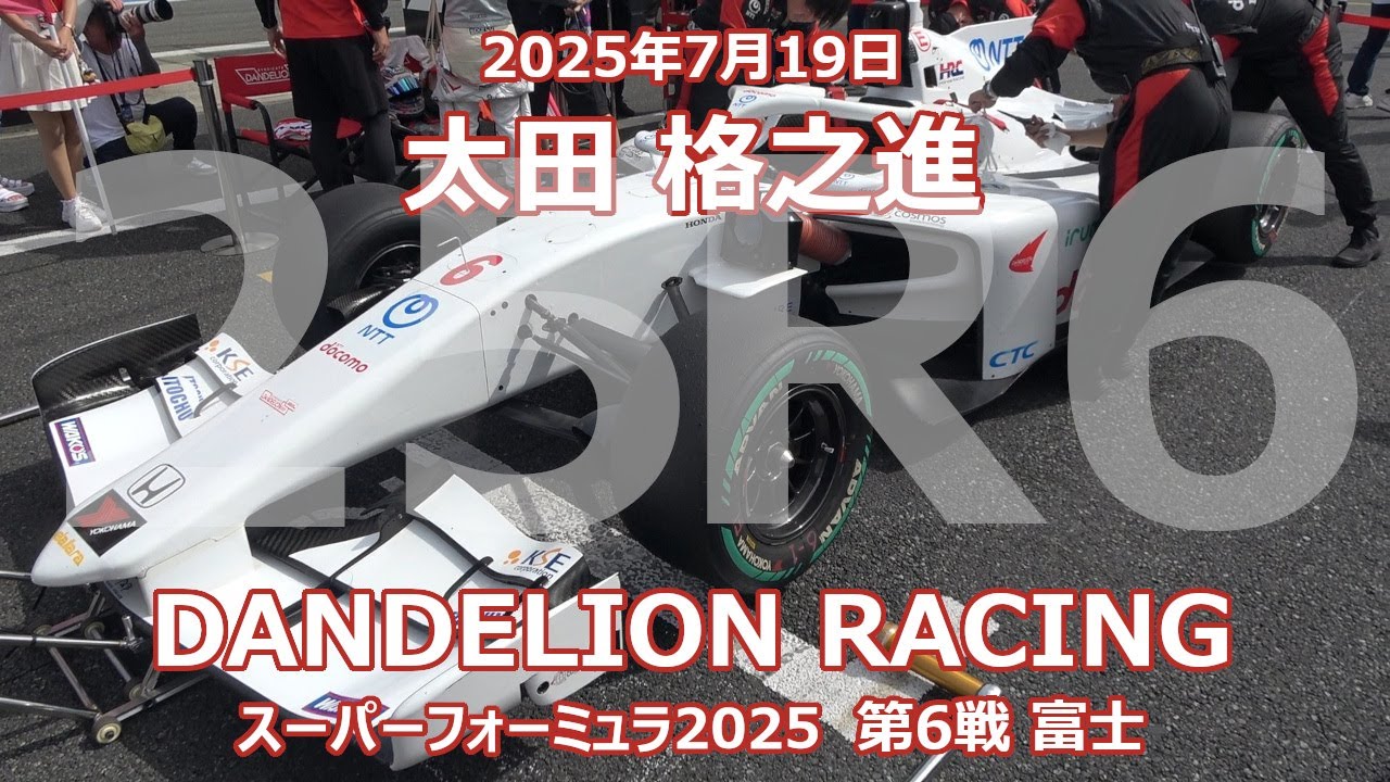 激レア ダンデライオン アプリコット 激レア ダンデライオン アプリコット