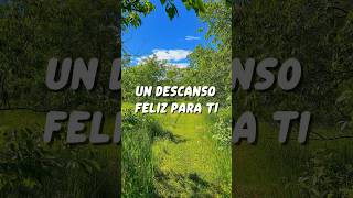 Una promesa bíblica de protección y paz para tu viernes (Junio 19) #shortscristianos #diosesamor