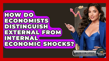How Do Economists Distinguish External From Internal Economic Shocks? - Macroecon Experts