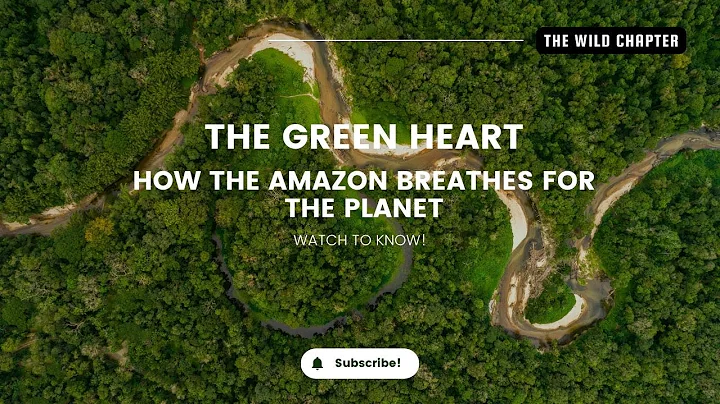 The Green Heart: How the Amazon Breathes for the Planet