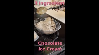 3 ingredient Chocolate Ice Cream is so easy to make. by FurFeathersandFlowers 204 views 5 months ago 2 minutes, 27 seconds