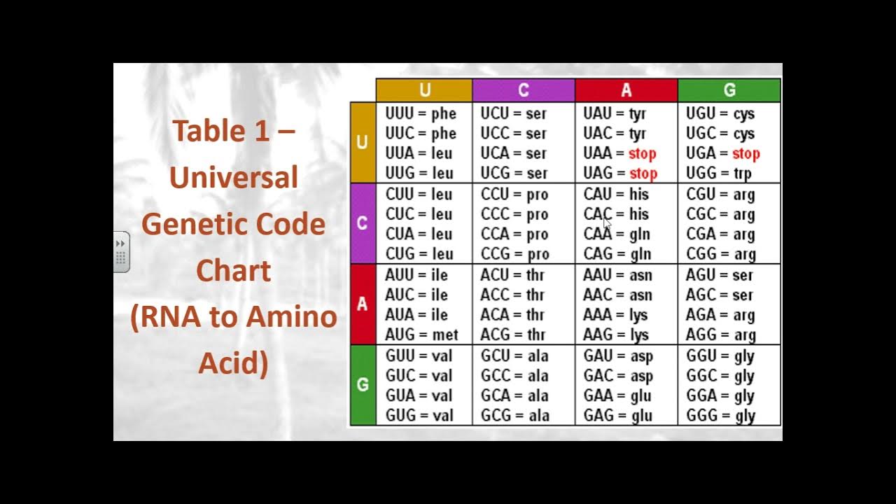 Biology: Lab #31- Mystery Organism - YouTube
