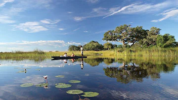 Fiona Timms - Okavango Diary - Chapter Eighteen - My first day as hostess at  camp is disastrous.