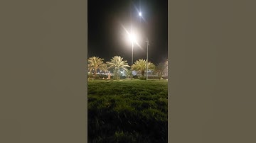 وتوكل على الحيّ الذي لا يموت|تلاوه رائعه بصوت #عبدالعزيز_سحيم #القرآن_الكريم #تلاوات