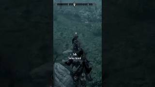 Skyrim: "A mudcrab tried to rob me