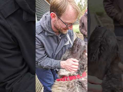 3000€ Donated to Quellenhof Passbrunn Shelter! Meet Ace & the Adorable Animals Waiting for a Home 🐾💖