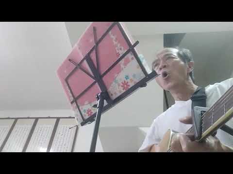悲戀的公路