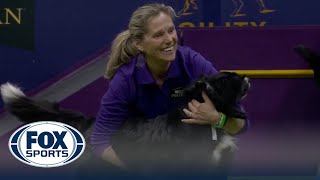 Truant the Border Collie crowned 2023 Masters Agility Champion | Westminster Kennel Club