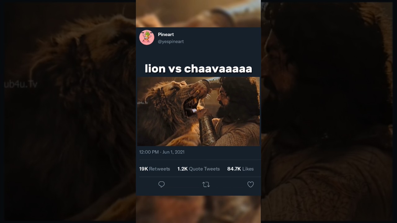Lion vs Shambhaji maharaj #amv