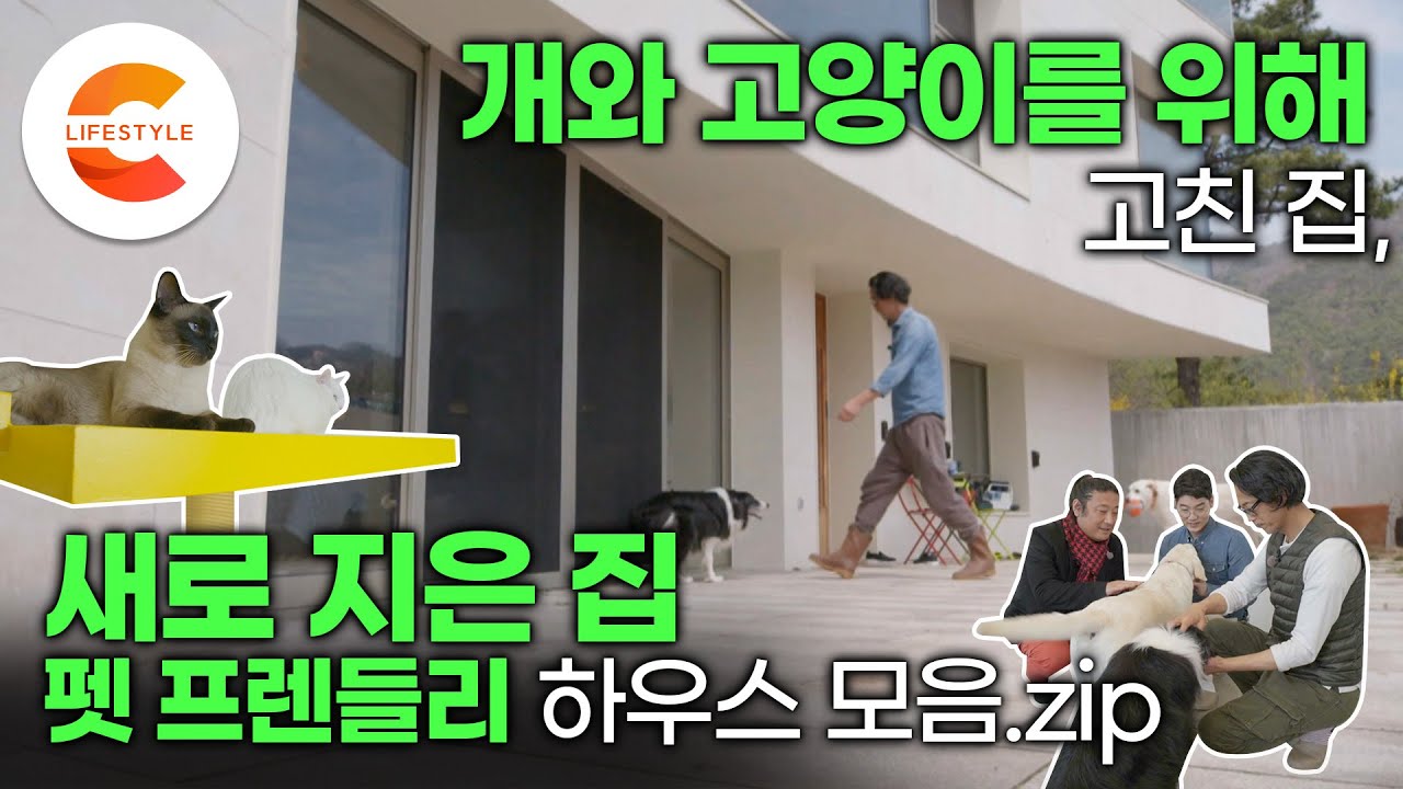 [건축탐구집 펫프렌들리 하우스 모음.zip🏡] 반려동물을 위해 집을 짓고 고친 사람들ㅣ개와 고양이를 부탁해🦮🐈ㅣ건축탐구집