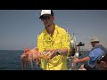 Рыбалка на Кипре. 5 серия