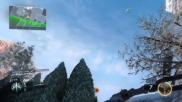 First ever cross map sparrow?