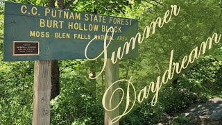 Moss Glen Trail: Into the fairy forest