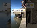 ボールの方が友達 #ばってんチャンネル #あるある #shortvideo